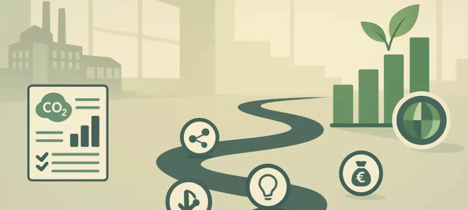 Sustainability reporting: The path from reporting to value creation