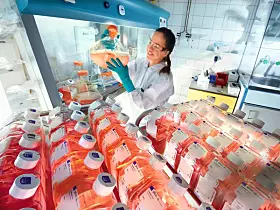 

Platz 2: Bayer AG
Die Nummer zwei der deutschen Chemiekonzerne ist die Bayer AG aus Leverkusen. Mit 46,606 Milliarden Euro (2023: 47,637 Milliarden Euro) Umsatz liegt das Unternehmen ein ganzes Stück hinter der Nummer eins. Bayer besteht aus drei Divisionen: Pharma, Komsumergesundheit und Landwirtschaft (hier unter anderem mit der Tochtergesellschaft Monsanto). 92.815 Mitarbeiter hat Bayer weltweit auf seiner Beschäftigtenliste.