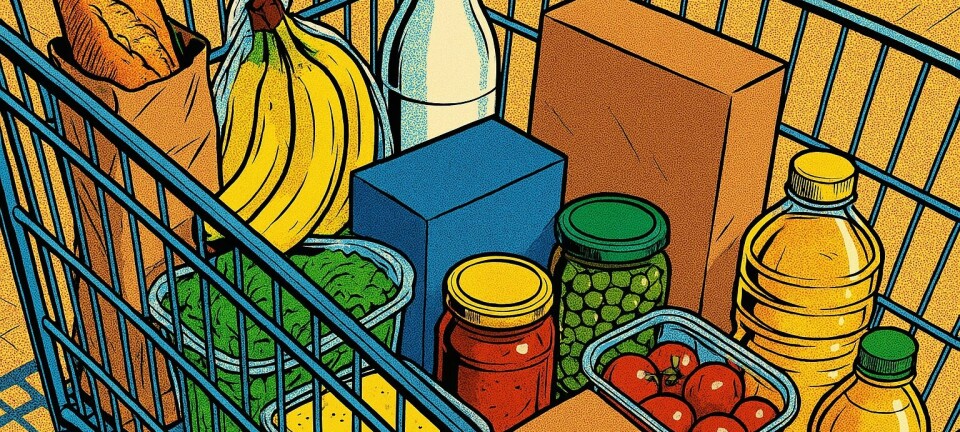 Function, design, circularity